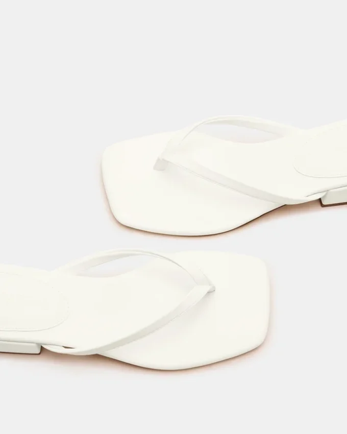 Caribbean White Caribbean White