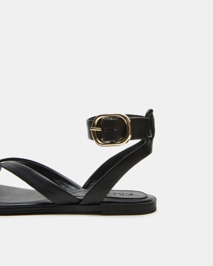 Nashira Svart Nashira Svart