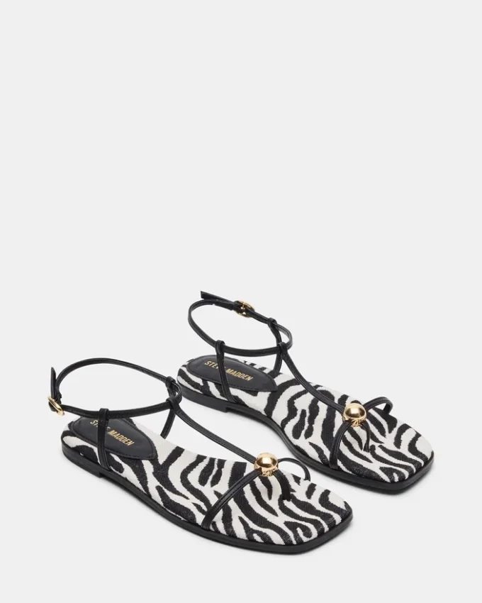 Ritzy Zebra Ritzy Zebra